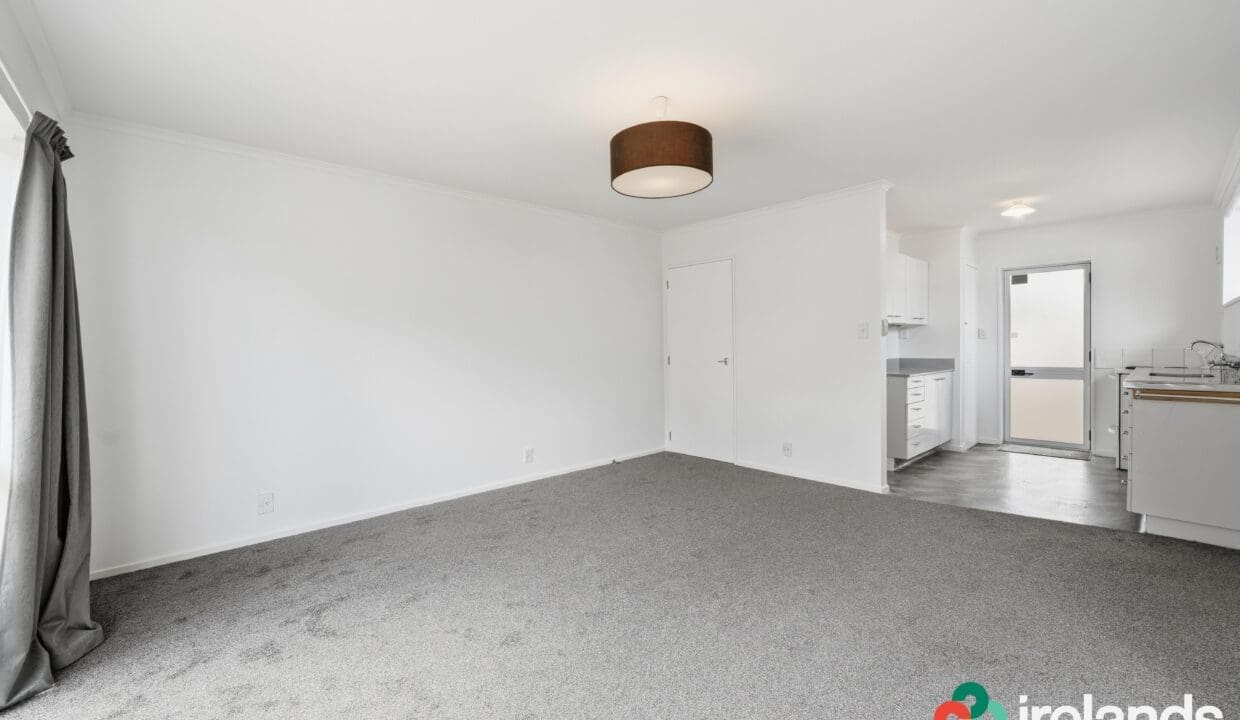 174557736__1762981608-174557736__1762981385-003_Open2view_ID600508-1_147_King_Street