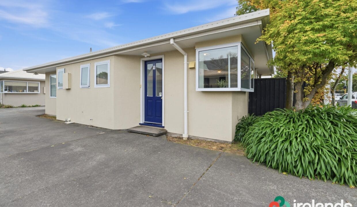 193372888__1774215006-193372888__1774214871-013_Open2view_ID605868-1_165_Clarence_Street