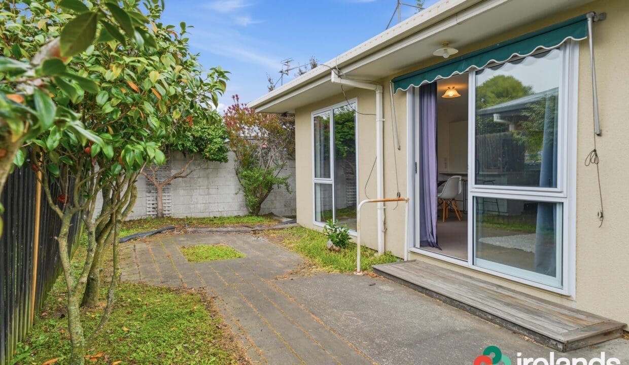 194019396__1774469642-194019396__1774469565-016_Open2view_ID605868-1_165_Clarence_Street